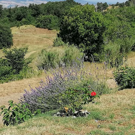 Appartamento Poderino Bellavista Castellina Marittima