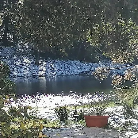 Appartamento Poderino Bellavista *