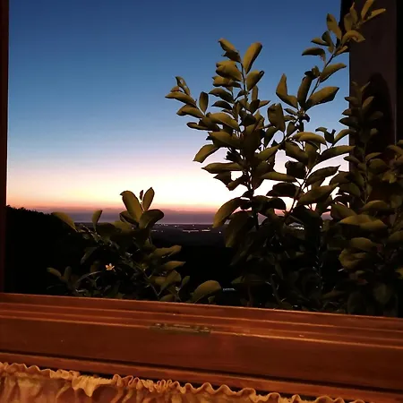 Poderino Bellavista קסטלינה מריטימה