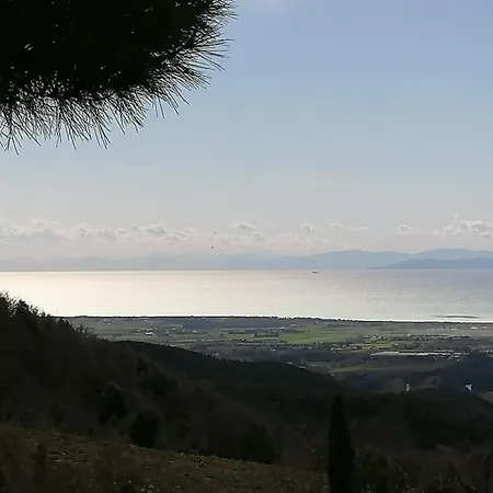 Poderino Bellavista * Castellina Marittima