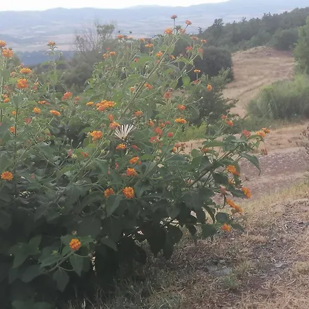 Poderino Bellavista דירה