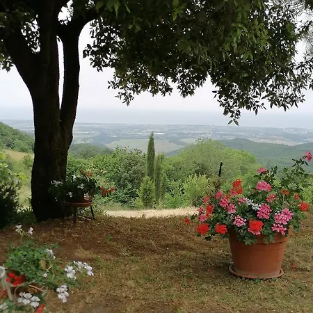 Poderino Bellavista