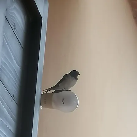 דירה Poderino Bellavista *