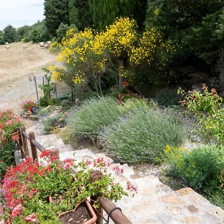 Appartement Poderino Bellavista Castellina Marittima