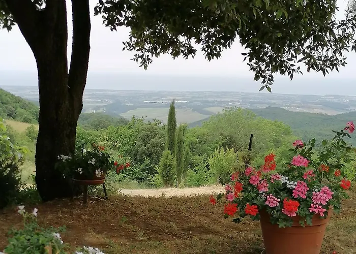 Poderino Bellavista