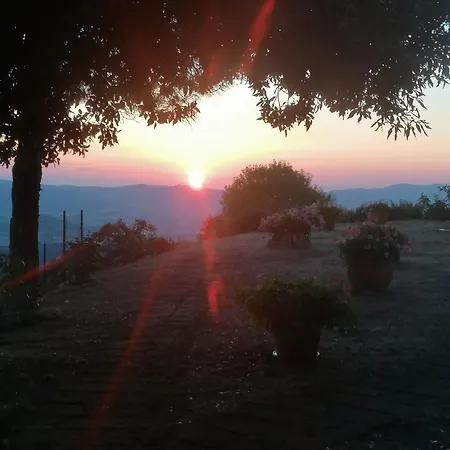 Poderino Bellavista * Castellina Marittima