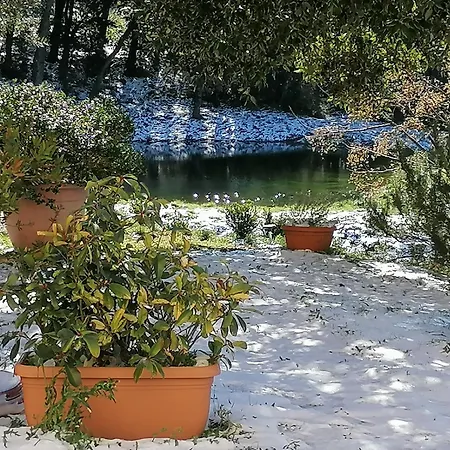 Poderino Bellavista *