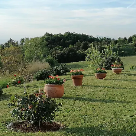 Poderino Bellavista Daire