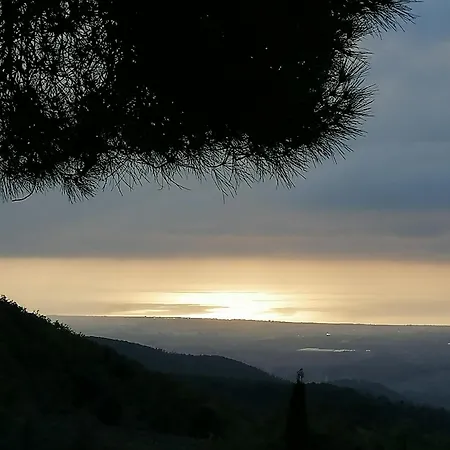 Poderino Bellavista Daire Castellina Marittima